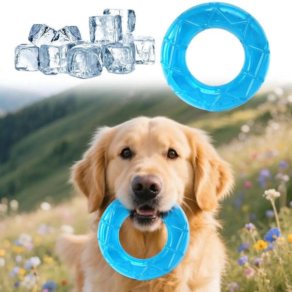 Jouet rafraîchissant chien