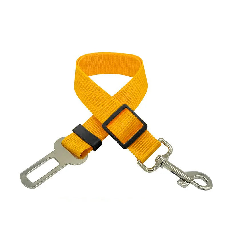 Laisse ceinture 