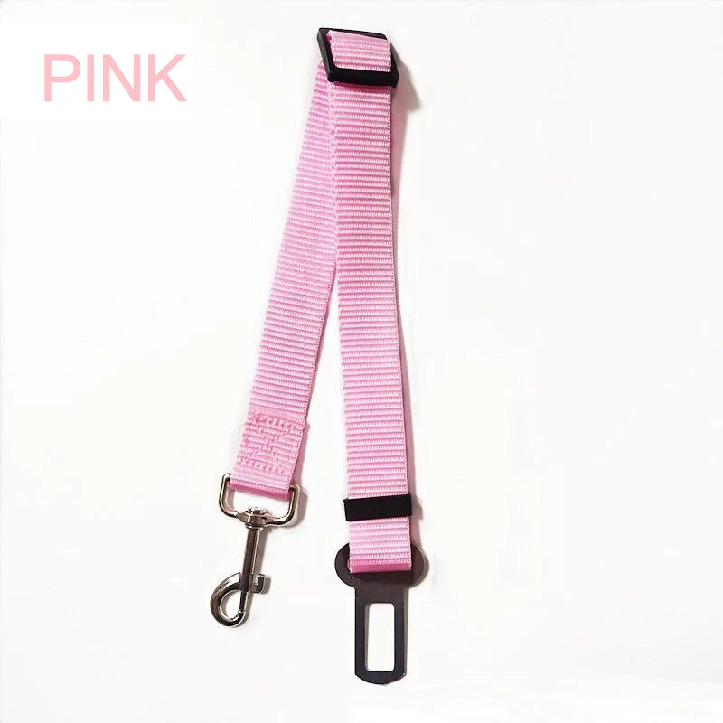 Laisse ceinture 