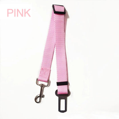 Laisse ceinture 