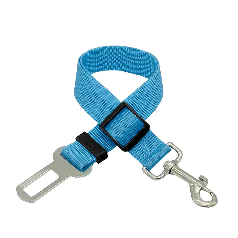 Laisse ceinture 