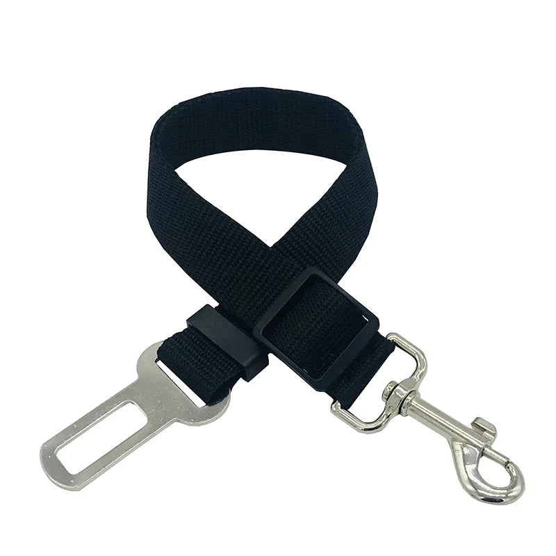 Laisse ceinture 