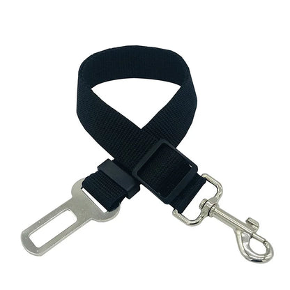 Laisse ceinture 