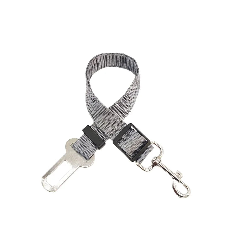 Laisse ceinture 