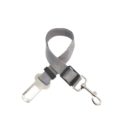 Laisse ceinture 