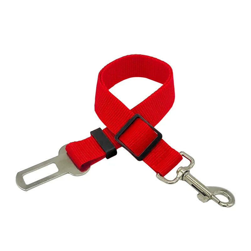 Laisse ceinture 