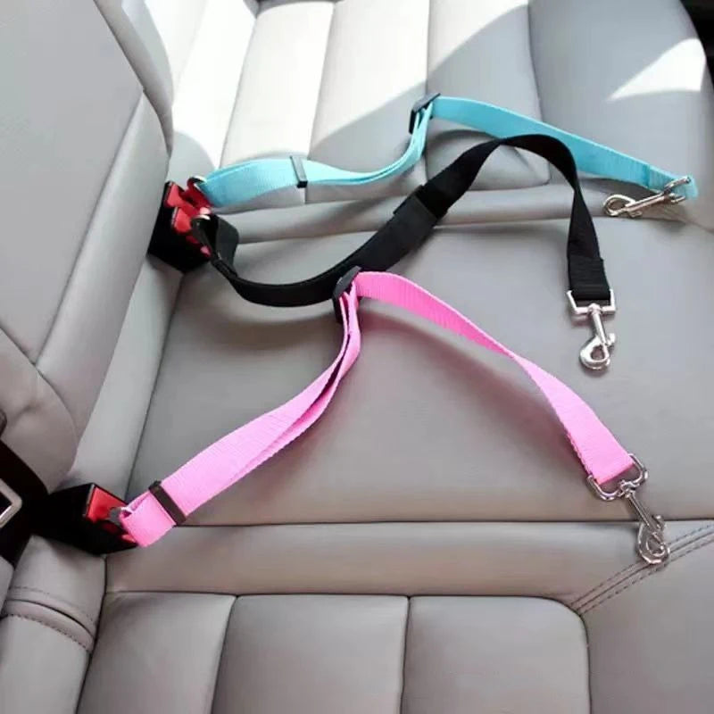 Laisse ceinture 